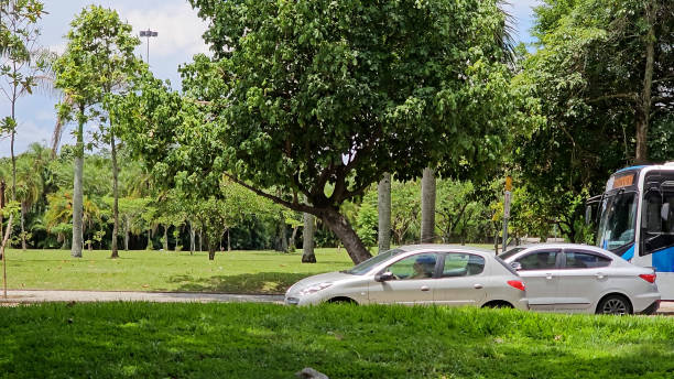 Avenue next to Parque do Flamengo