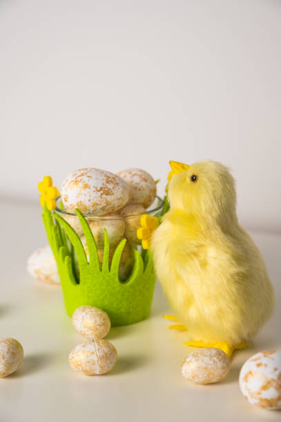 easter greetings banner with chickens, eggs and flowers. vertical background. High quality photo