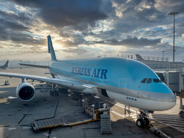 Sydney, Australia - Nov 26, 2019: Korean Air Airbus A380-800 plane docked with jetway at Sydneys Kingsford-Smith International Airport. Ground crew loading cargo in preparation for pending flight.