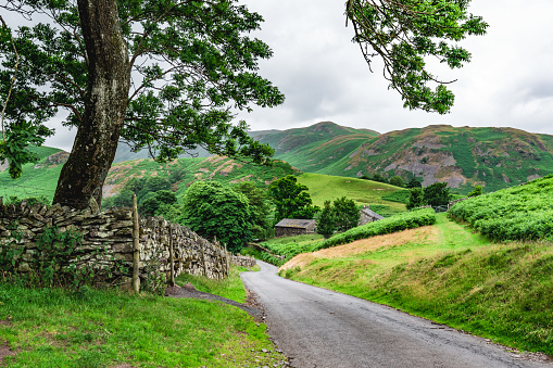 Summer Landscape in Scotland, UK