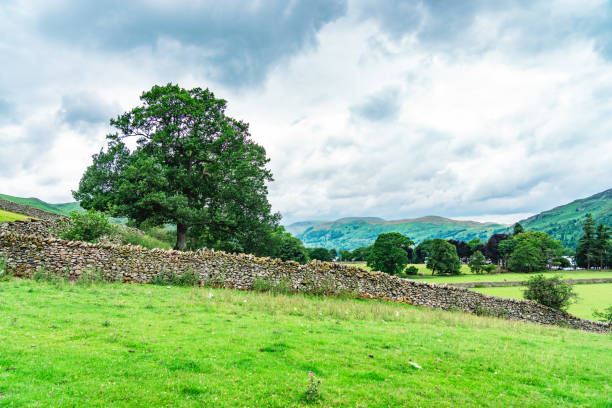 istock Idyllic Rural in Lake District, England 1948420302