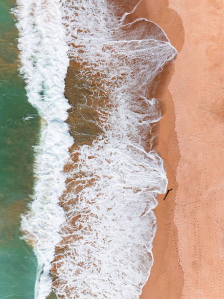 istock Aerial View of Waves Crashing on Sandy Beach. 1948463765