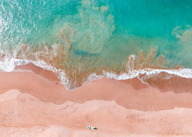 Aerial view of white sand beach.