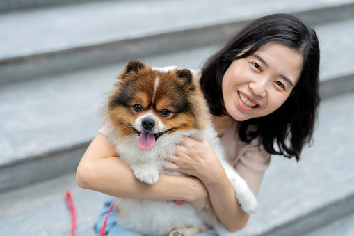 The dog's fluffy fur and animated expression mirror the exuberance of the shared experience. The woman, immersed in the delight of her furry friend. Sitting on the stair floor in the park during weekend. Create relationships between people and animals.