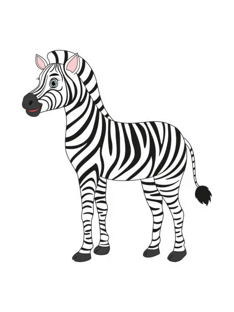 Vector illustration of Cute cartoon zebra, striped horse, isolated object on white background.