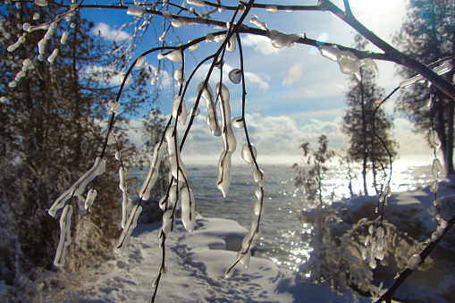 Sunny Winter day landscape of  the ice-coated Lake Michigan shoreline beside a forest covered in fresh snow at Cave Point in Door County, near Valmy, Wisconsin.