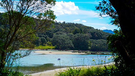 Scenic view of estuary, forest and pathway, North Island