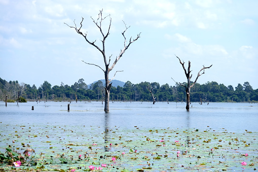 Large water reservoir surrounds Neak Pean, Angkor, an artificial island with a Hindu temple in Jayatataka Baray, built during the reign of King Jayavarman VII. Cambodia.