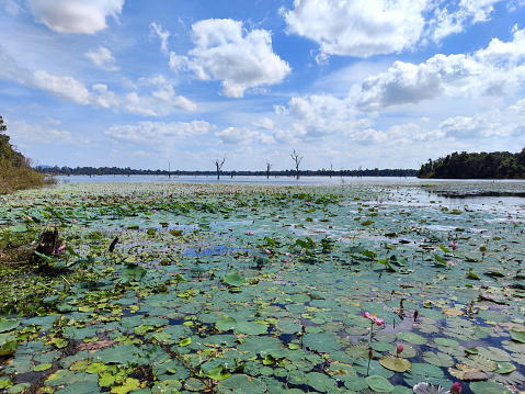 Large water reservoir surrounds Neak Pean, Angkor, an artificial island with a Hindu temple in Jayatataka Baray, built during the reign of King Jayavarman VII. Cambodia.