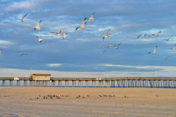 the fishing pier in ocean city maryland during the off-season - maryland fishing atlantic ocean sea imagens e fotografias de stock