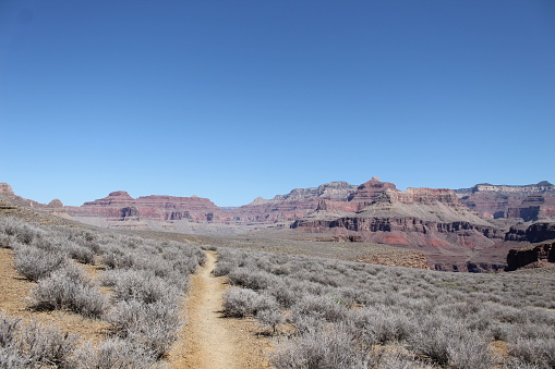 Trail within the Grand Canyon.