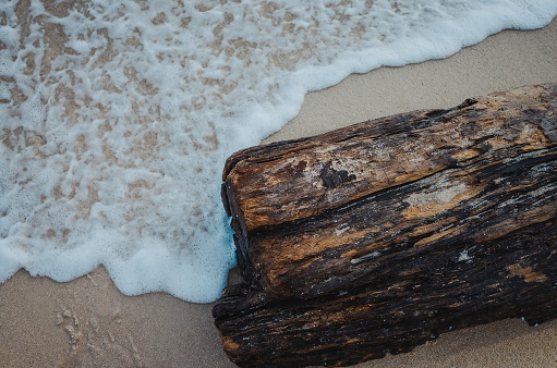 A serene composition capturing the beauty of driftwood resting on the sandy shores. The weathered and sun-bleached wood tells a silent tale of its journey across the waves. The tranquil beach setting, with the gentle touch of sunlight, creates a peaceful and contemplative scene, inviting viewers to appreciate the natural artistry of the coastline