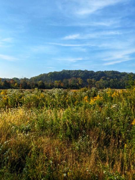 istock Early Autumn Scenery in Pennsylvania 1948804295