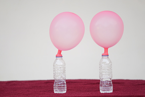 Two pink balloons on top of bottles. Concept, science experiment about reaction of chemical substance, vinegar and baking soda that cause balloon inflat. Last step of experiment