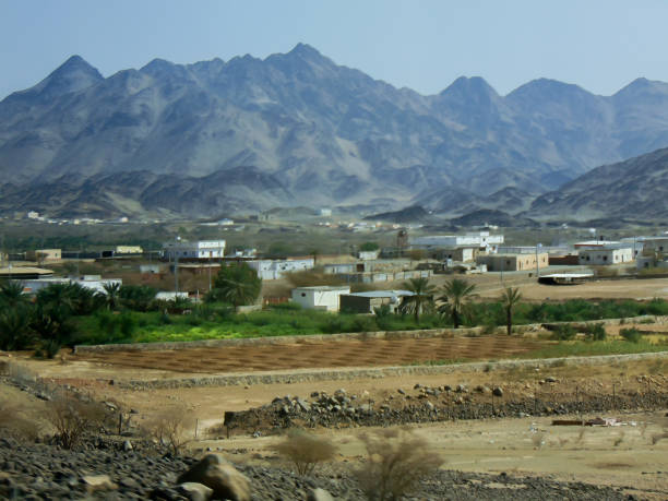 istock Agricultue Fields in the Middle East 1948844258