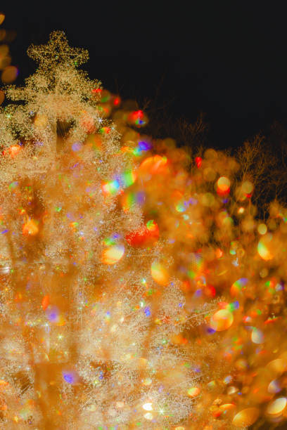 istock Hakone garden illumination in winter 1948886462
