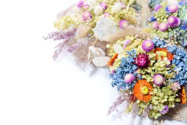 istock bouquet of dried flowers 1948888182