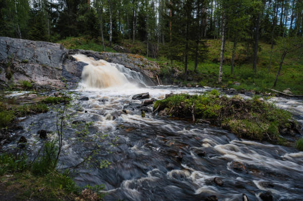 istock waterfall in the river with stones in the forest in summer 1948906378