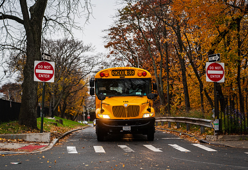 Traditionally, school buses have been used transport children to school on daily basis.