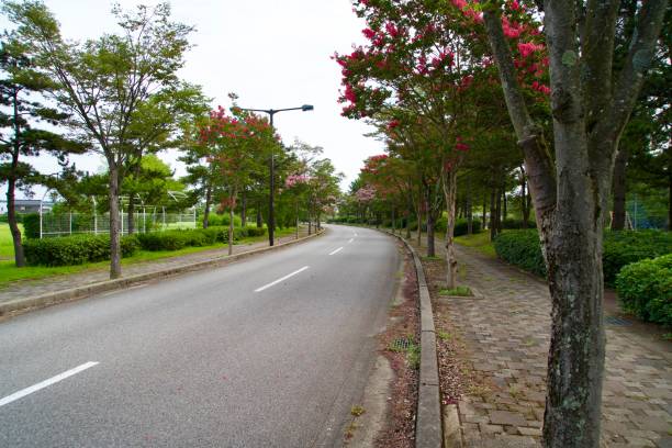 istock Roadway through Mitsukejima Seaside Camping ground. 1948931379