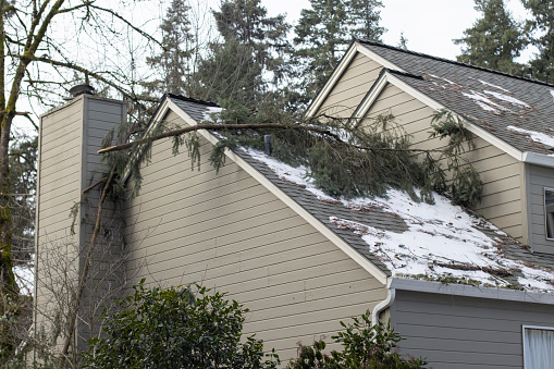Fallen tree branches on the roof of a residential building after severe winter snow storm.