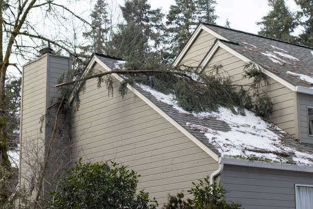 Fallen Tree Branches on the Roof Fallen tree branches on the roof of a residential building after severe winter snow storm. damaged stock pictures, royalty-free photos & images