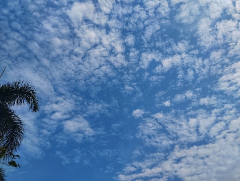 View of blue sky and white clouds with palm tree leaves