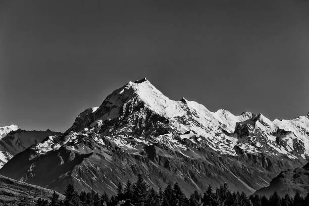 istock NZ Mt Cook peak over forest BW 1948996927