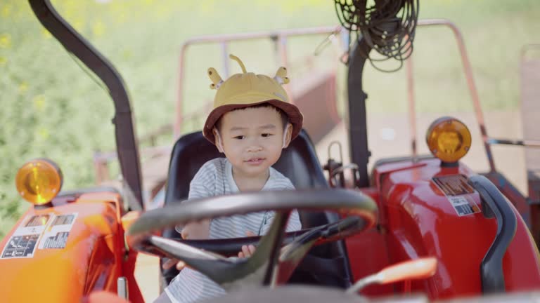 Adorable cute Asian toddler boy riding and play on an old tractor car parking in outdoor field happily. Young baby outdoor experience learning activity concept.