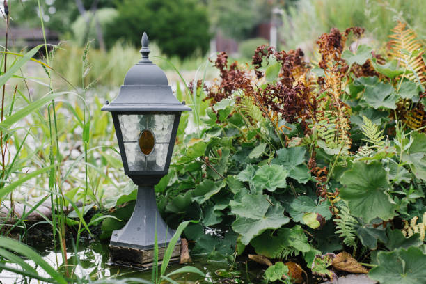 Beautiful black lantern on the pond. Stylish landscape design