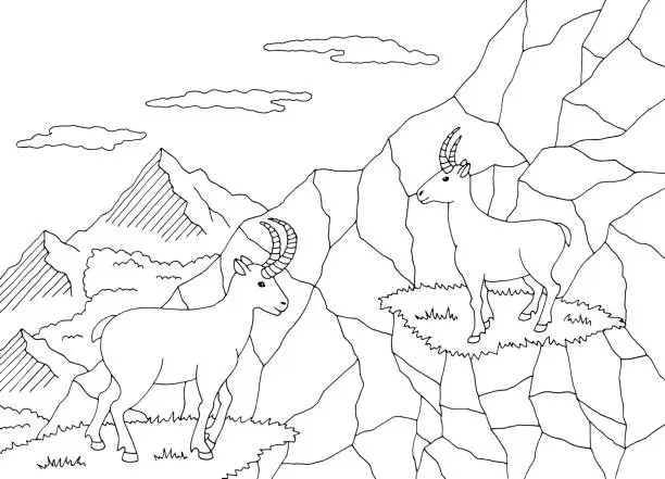 Vector illustration of Goat on the cliff mountain graphic black white sketch illustration vector