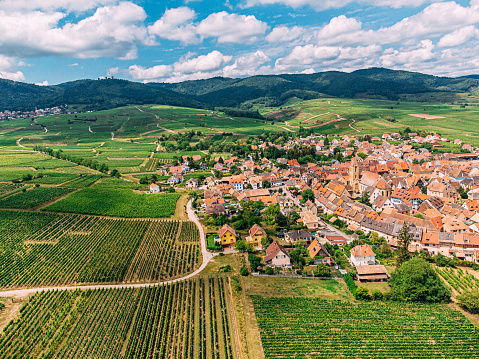 Aerial Shot of the Agricultural Fields and Road Entering the French Village of Eguisheim with a Mountain Range and Husseren-les-Châteaux in the Background
