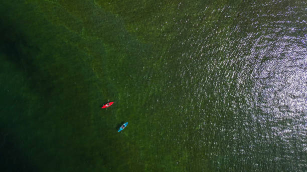 istock Aerial view of couple on paddle boards 1949108928