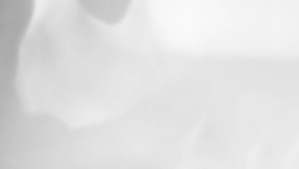 istock Shadow Background wall Light white Abstract Backdrop Sunlight Sun Mockup Overlay Minimal Summer Gray Photography Black Modern Art Architecture Surface Bright Shape Leaves Branch Nature Smoot Desight. 1949122698