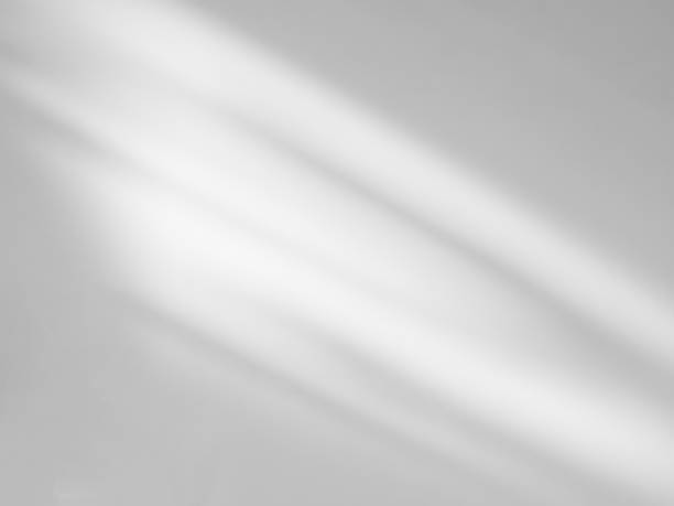 istock Shadow Background wall Light white Abstract Backdrop Sunlight Sun Mockup Overlay Minimal Summer Gray Photography Black Modern Art Architecture Surface Bright Shape Leaves Branch Nature Smoot Desight. 1949122710