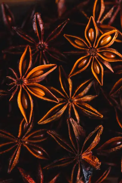 Stars of star anise macrophotography