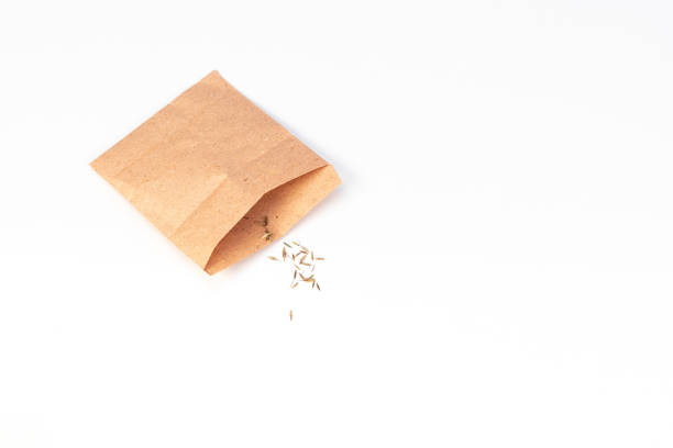 istock Lemon grass seeds in a packet on white isolated background 1949127495