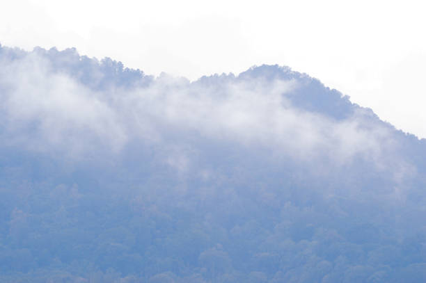 Cloudy And Misty Atmosphere Covering The Forested Mountaintop In The Evening, Wanagiri, Buleleng, Bali