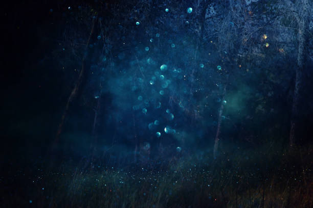 istock mysterious background of dark and haunted forest 1949293505