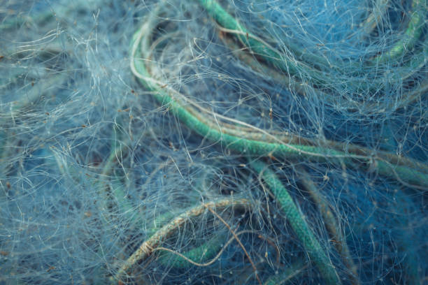 Small scale trawl industrial fishing net