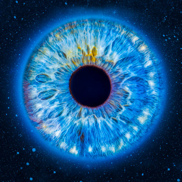 istock artistic eye picture 1949326396