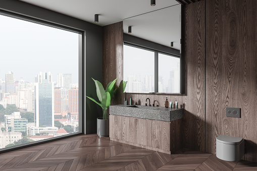 Dark wooden home bathroom interior sink and wall hung toilet, side view. Mirror and plant in the corner, panoramic window on Singapore skyscrapers. 3D rendering