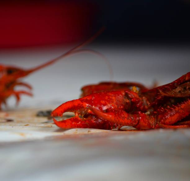 Crawfish head and claw