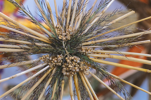 Composition of dry straw and dry grass