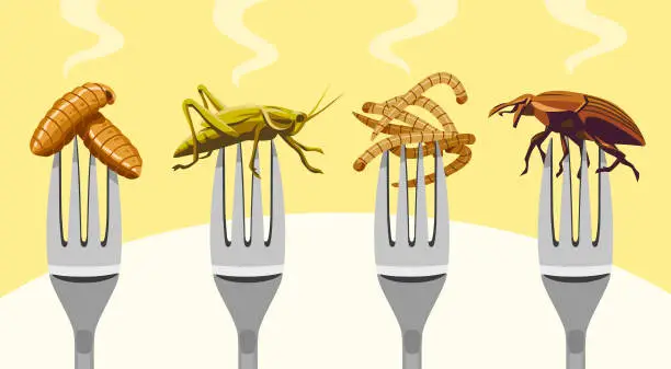 Vector illustration of Edible Insects On Forks