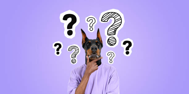 istock Man with dog head and hand on chin, question marks on purple background 1949354451