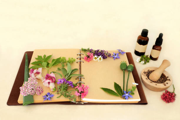 istock Preparing Aromatherapy Essential Oil with Herbs and Flowers 1949362230