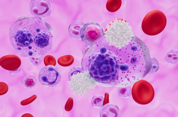 istock White blood cells with Multiple myeloma (MM) cells - closeup view 3d illustration 1949365367