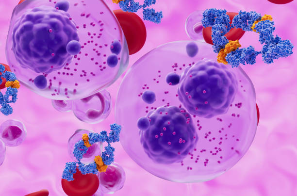Monoclonal antibody treatment in Multiple myeloma (MM) - closeup view 3d illustration stock photo