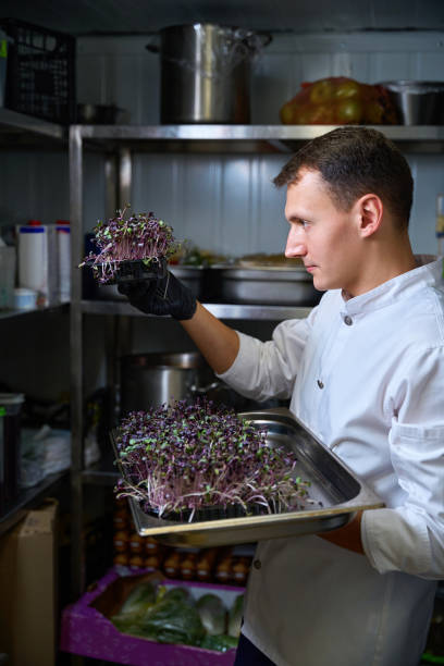 istock Guy brought a tray of microgreens into the restaurant refrigerator 1949376767